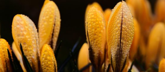 飘花电影网日本动漫2026秋季新番专题，本季最受期待的动漫合集
